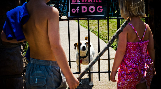 6th Annual AMPC Parkway Journey Category Theme: Dogs On The Parkway