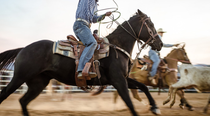 10th Annual AMPC Opening Reception Announced